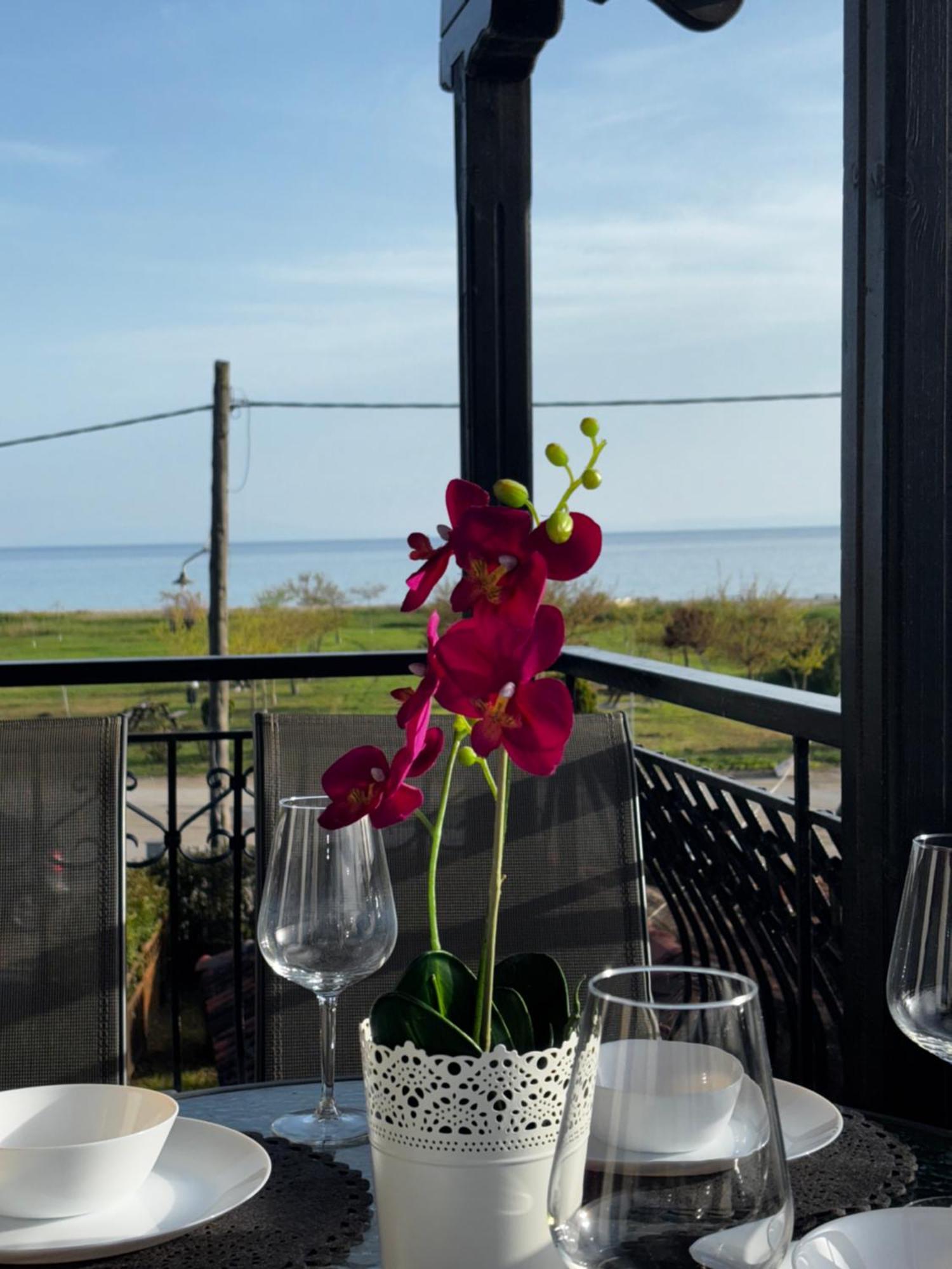 Room Nine 9 Beachfront Apartments Nea Kallikrateia Bagian luar foto